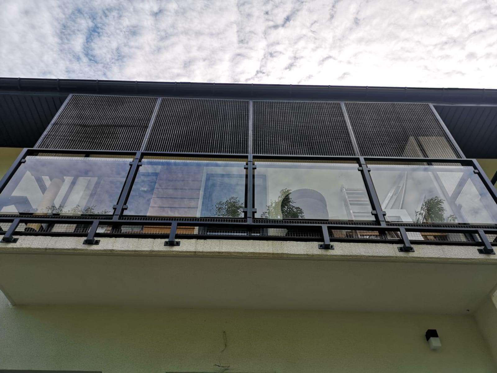 kot wspinający się po słupku we wnętrzu woliery