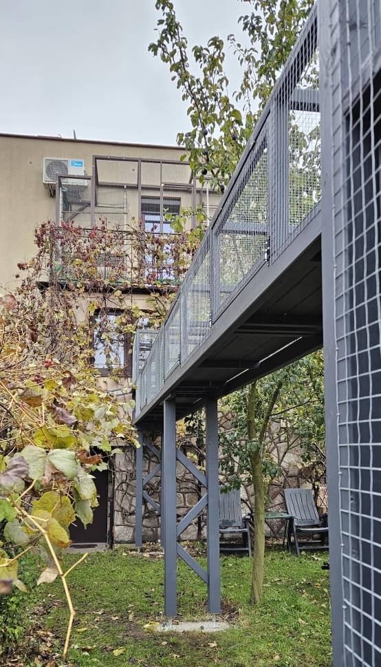 zdjęcie kotiery stojącej w ogrodzie na trawie na tle drzewa