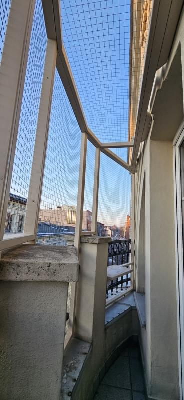 kot wspinający się po słupku we wnętrzu woliery