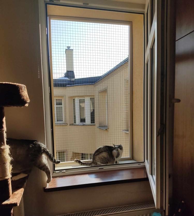 widok na zabezpieczone okno