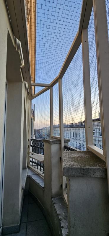 kot wspinający się po słupku we wnętrzu woliery