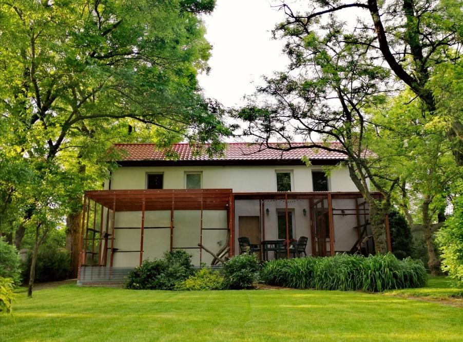 zdjęcie kota stojącego na tynych łapkach na półce kotiery, obok słupka do wspinania