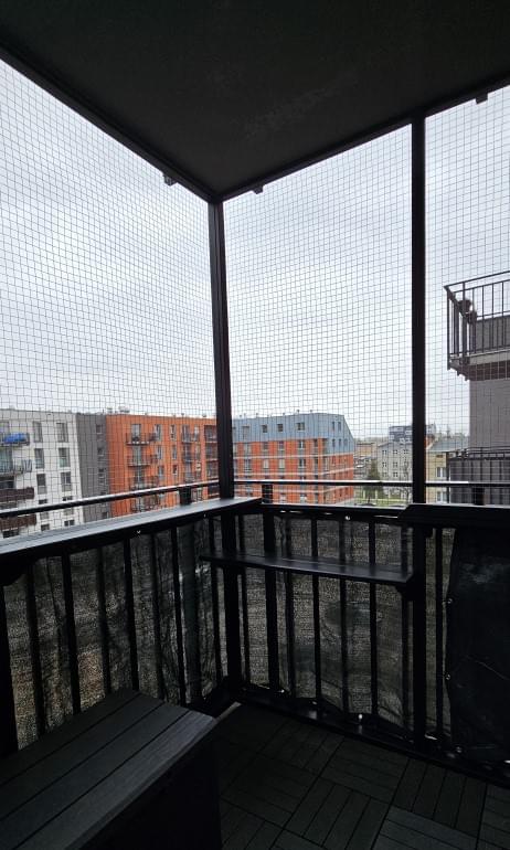 kot wspinający się po słupku we wnętrzu woliery