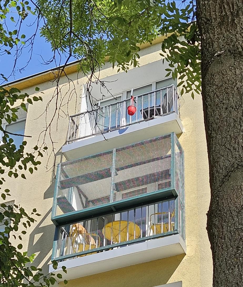 zdjęcie wnętrza kotiery z półkami i konarami