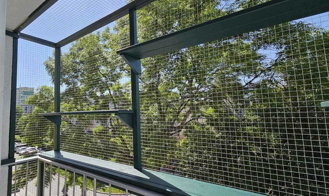 kot wspinający się po słupku we wnętrzu woliery