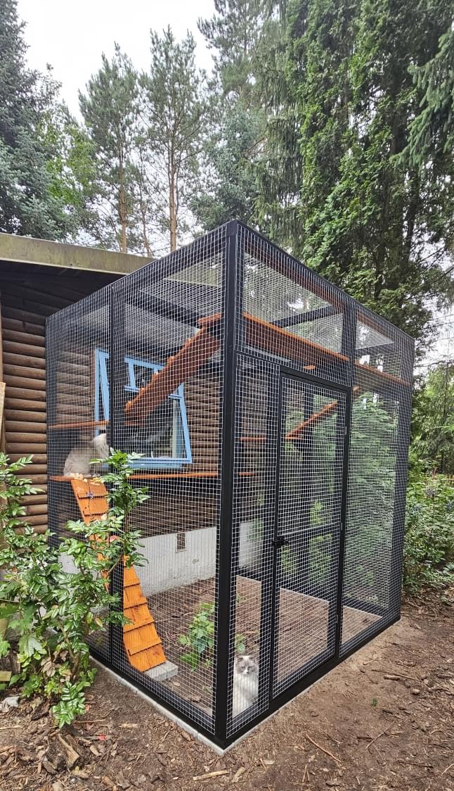 zdjęcie wnętrza kotiery z półkami i konarami