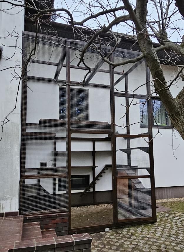 zdjęcie kotiery stojącej w ogrodzie na trawie na tle drzewa