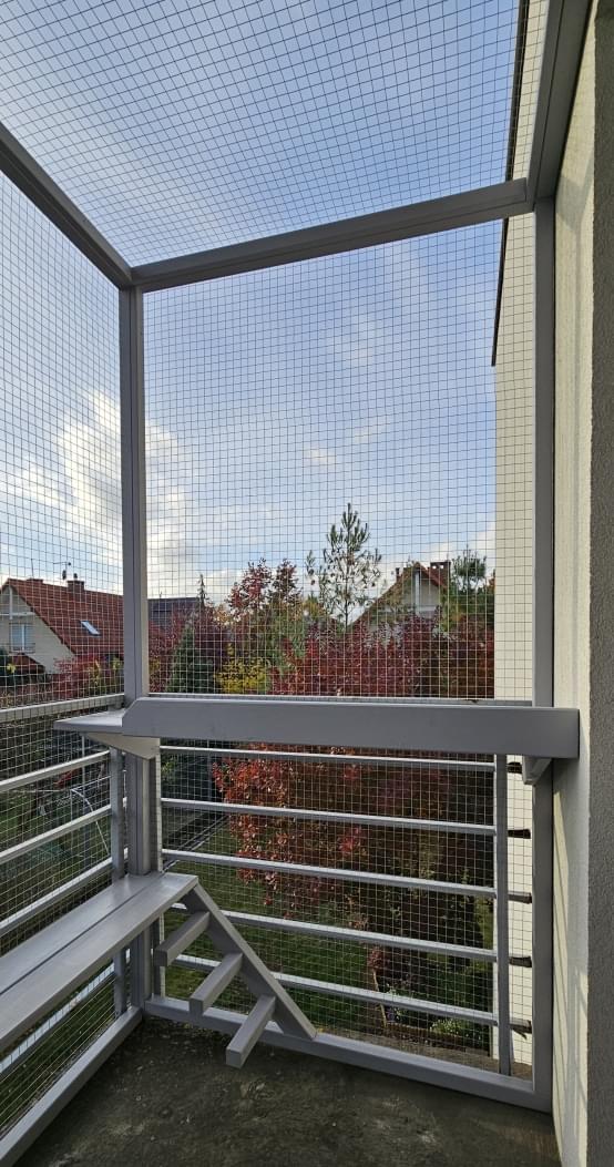 kot wspinający się po słupku we wnętrzu woliery